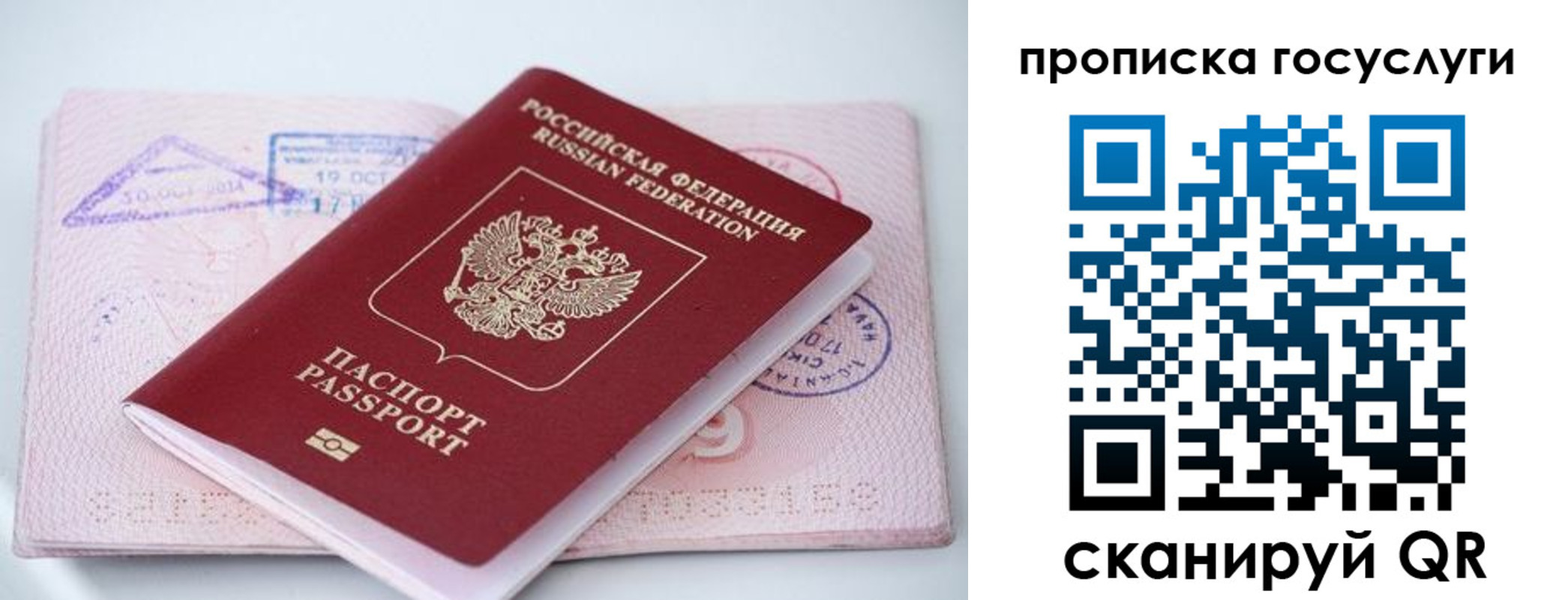 прописка законно в Таганроге
